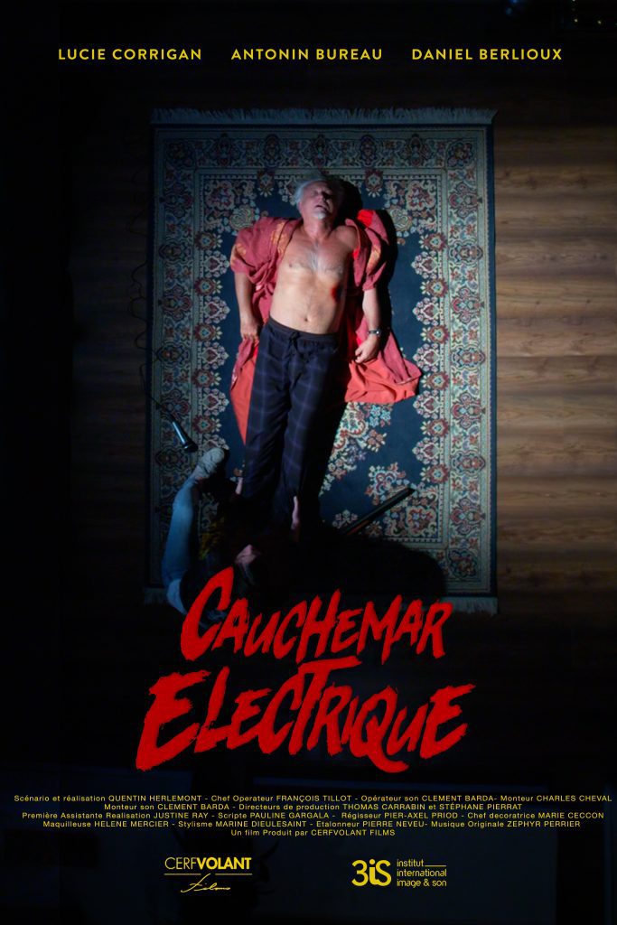 Cauchemar electrique