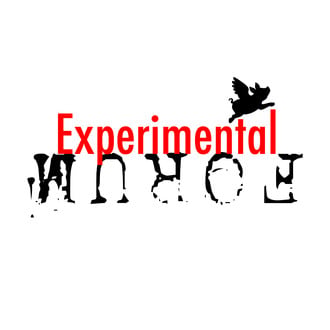 Experimental Forum