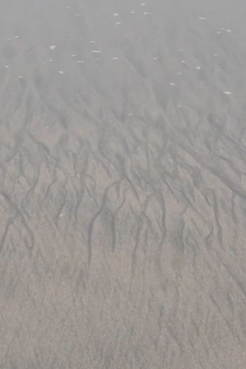 18 (2019) — film poster, directed by Mikhail Zheleznikov