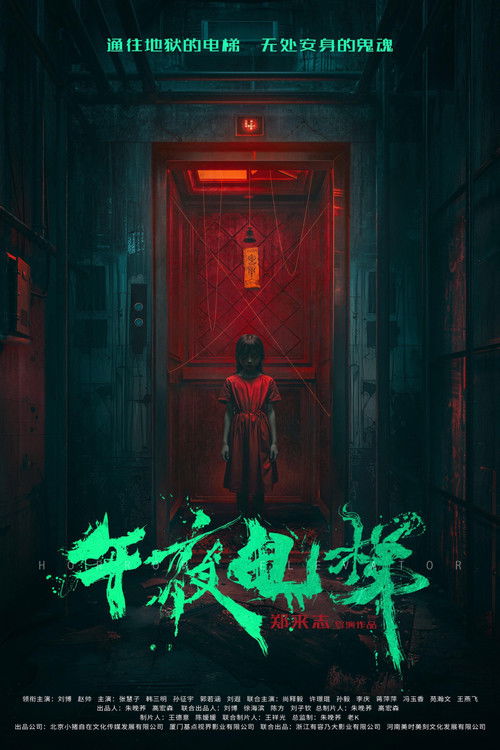 午夜电梯 (2026) - film poster