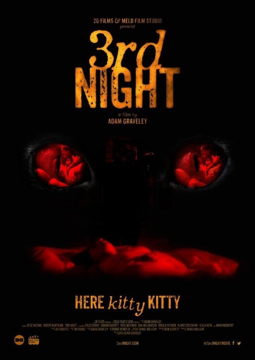 3rd Night (2017) - film poster