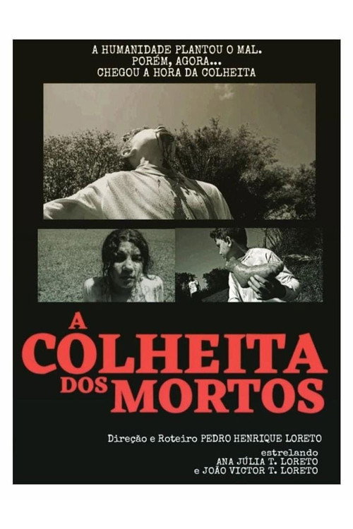 A Colheita dos Mortos (2022) - film poster