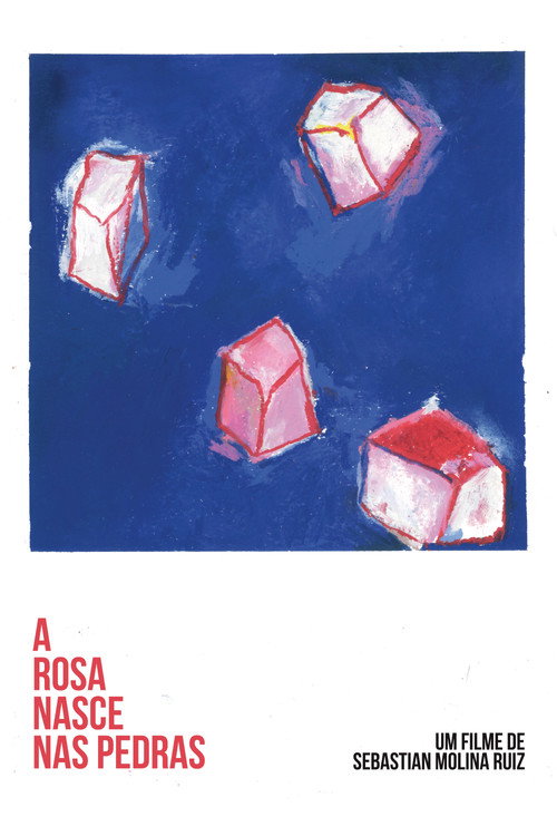 A Flower Blooms In The Remains (2025) - film poster, directed by Sebastian Molina Ruiz