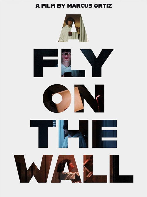 A Fly On The Wall (2025) — film poster