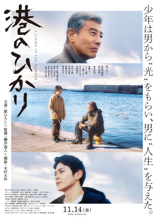 A Light in the Harbor (2025) - film poster, directed by Michihito Fujii