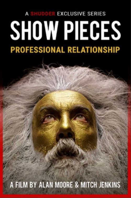 A Professional Relationship (2015) — film poster