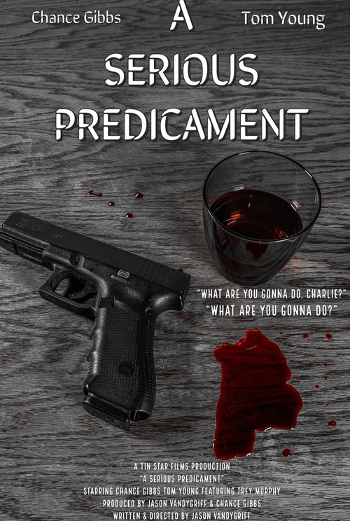 A Serious Predicament (2020) - film poster
