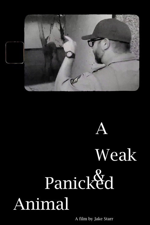 A Weak & Panicked Animal (2024) - film poster