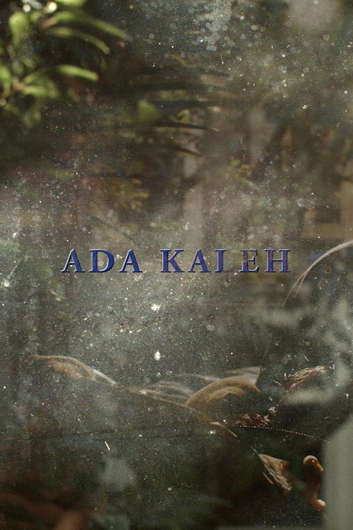 Ada Kaleh (2018) — film poster, directed by Helena Wittmann