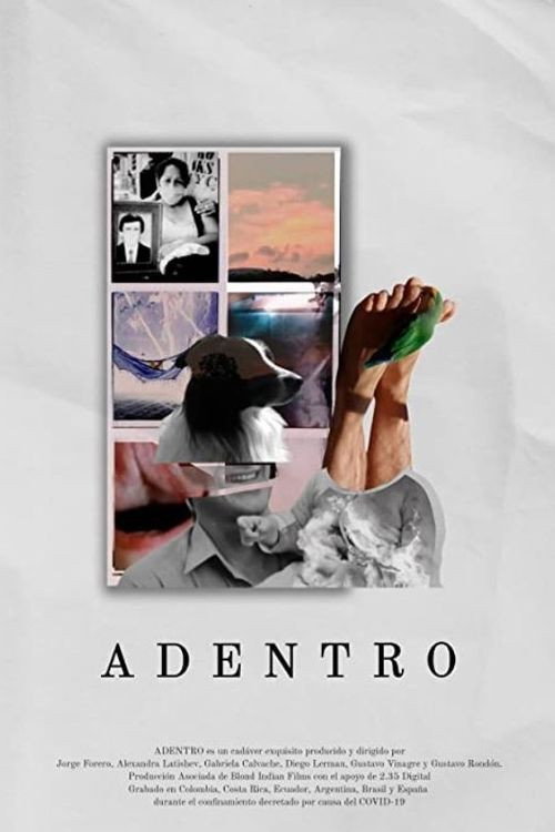 Adentro (2021) — film poster, directed by Gustavo Vinagre