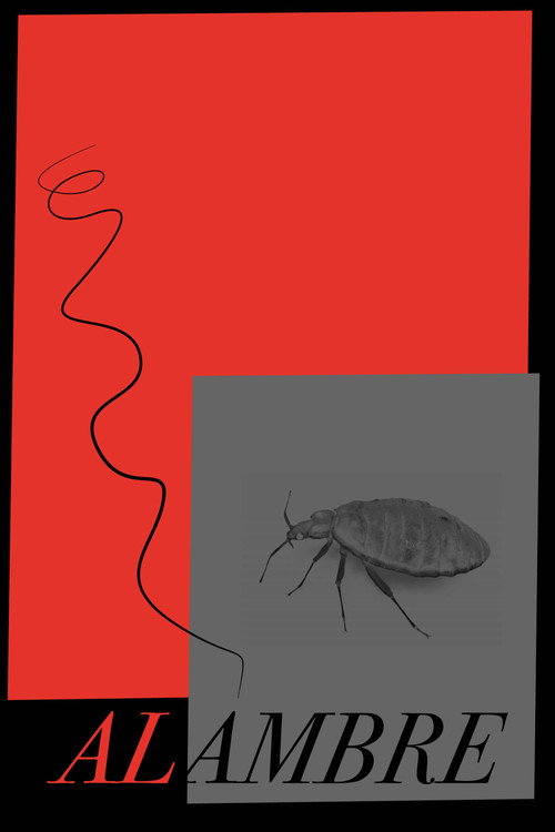 ALAMBRE (2025) - film poster
