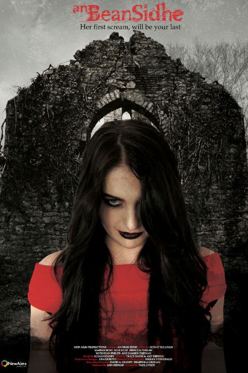An Bean Sidhe (2014) - film poster