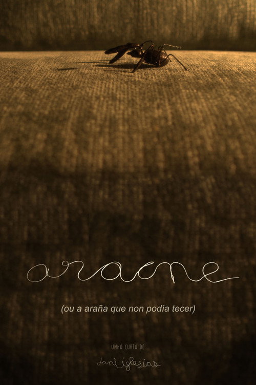 Aracne (ou a araña que non podía tecer) (2024) - film poster