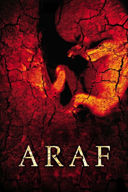 Araf (2006) - film poster