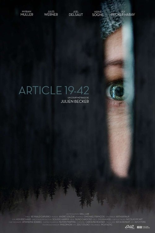 Article 19-42 (2019) - film poster