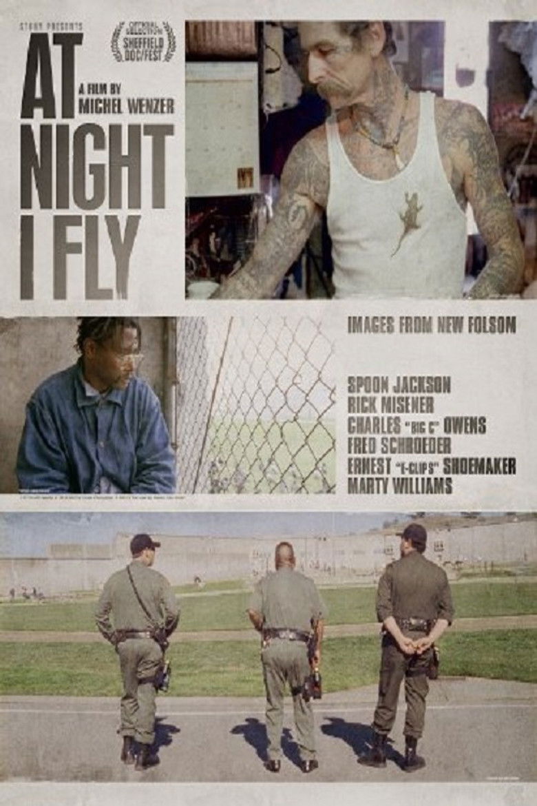 At Night I Fly