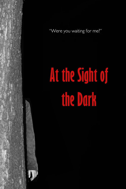 At the Sight of the Dark (2026) - film poster