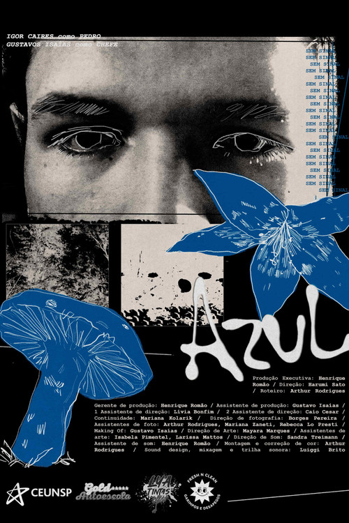 Azul (2026) - film poster