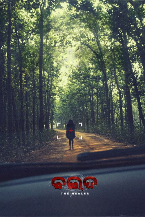 Baida (2025) - film poster