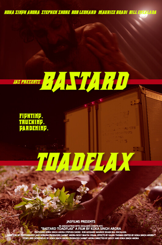 Bastard Toadflax