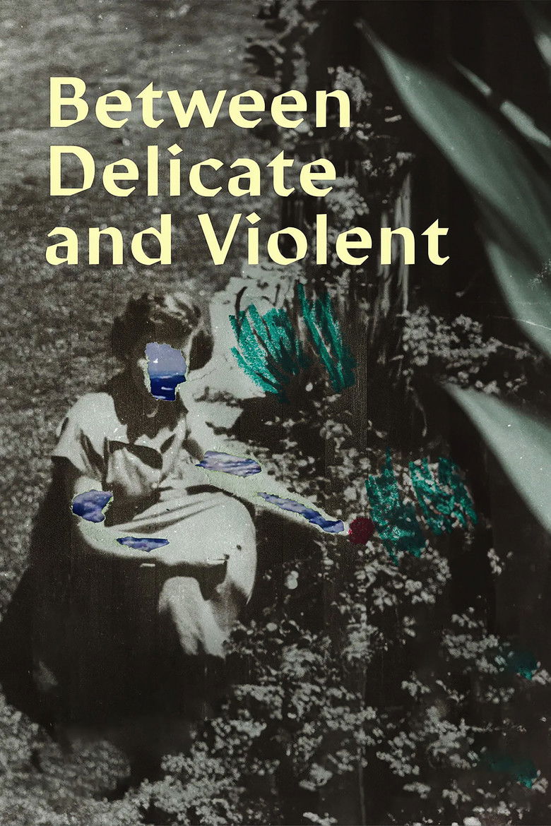 Between Delicate and Violent (2023) - film poster, directed by Şirin Bahar Demirel