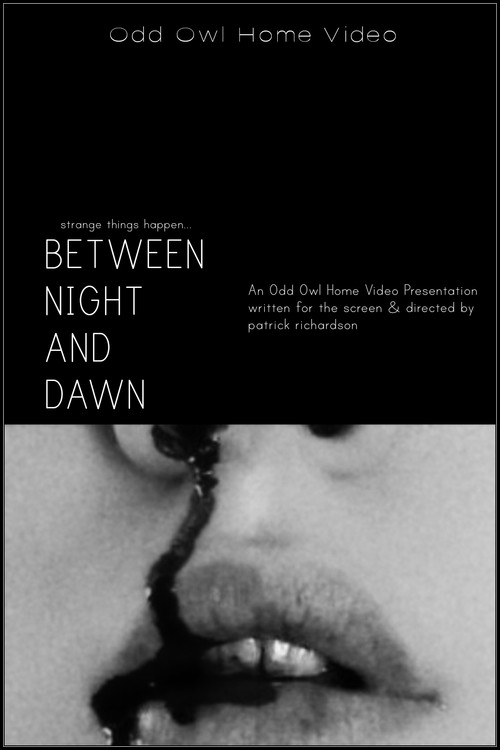 Between Night And Dawn (2024) - film poster
