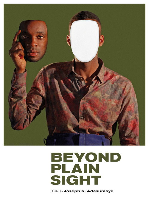 Beyond Plain Sight (2014) - film poster