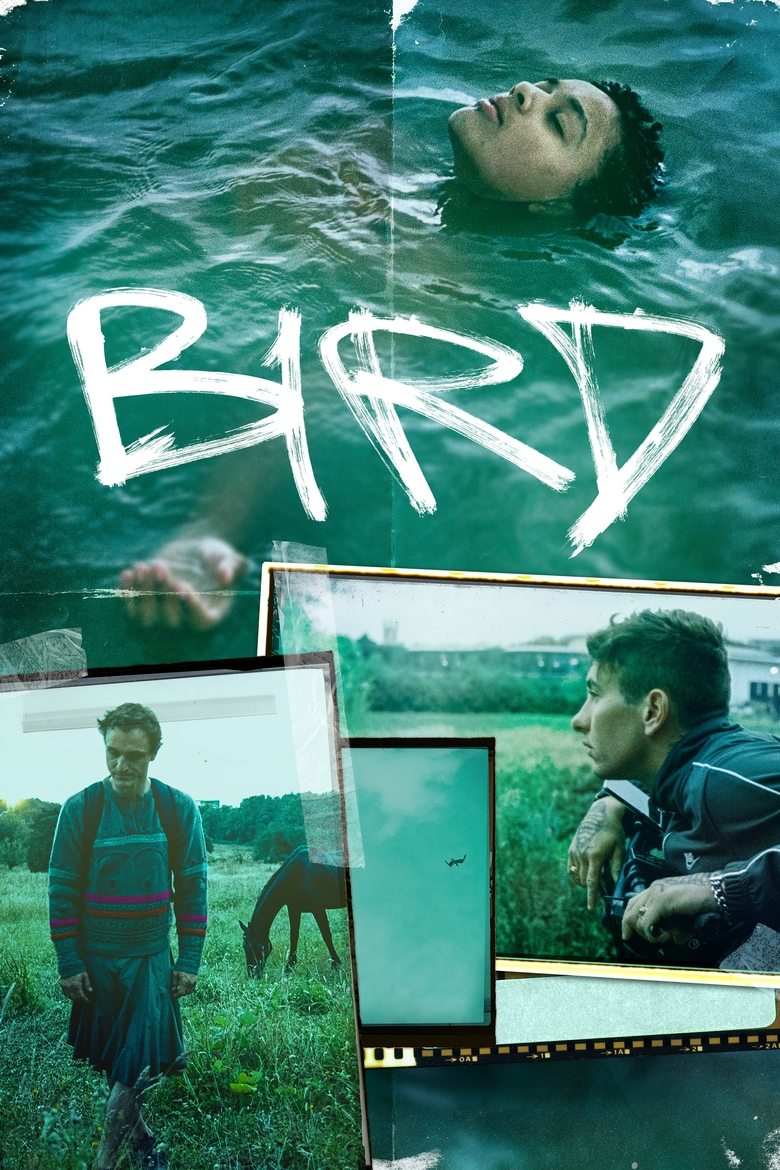 Bird (2024) — film poster, directed by Andrea Arnold