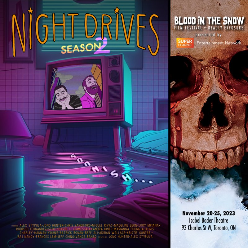 Night Drives: The Silence of the Library