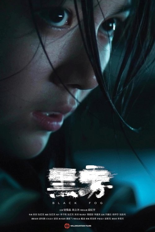 Black Fog (2025) — film poster