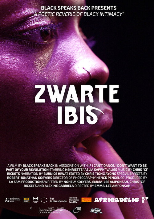 Black Ibis (2024) - film poster