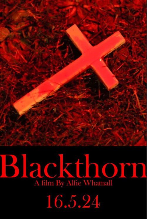 Blackthorn (2024) — film poster