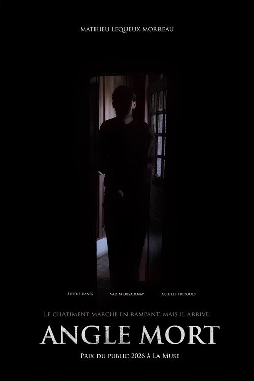 Blind spot (2026) - film poster