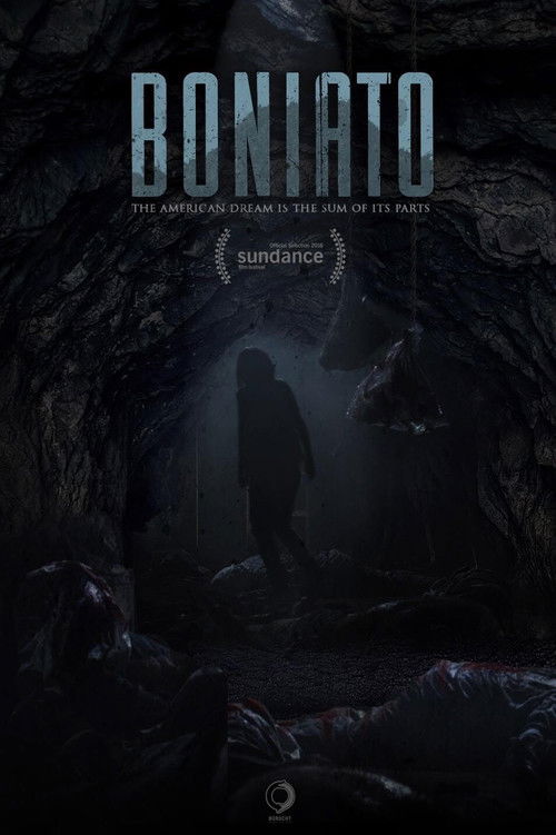 Boniato (2016) - film poster