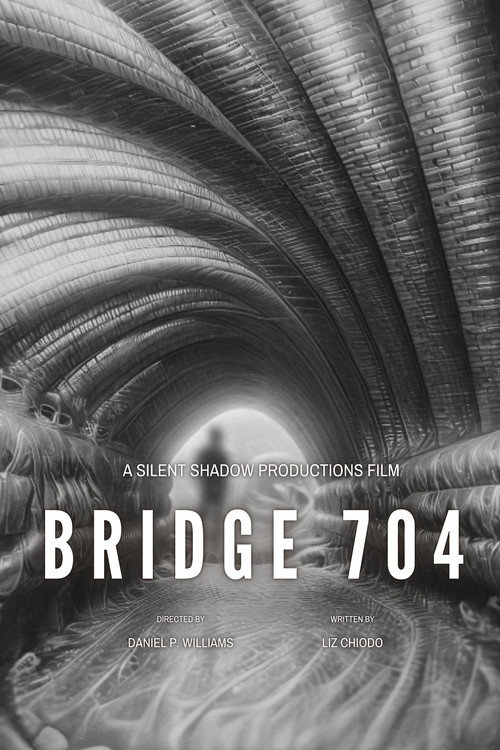 Bridge 704 (2026) - film poster