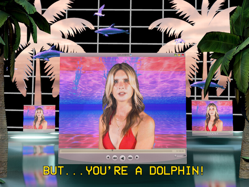 But...You're A Dolphin!