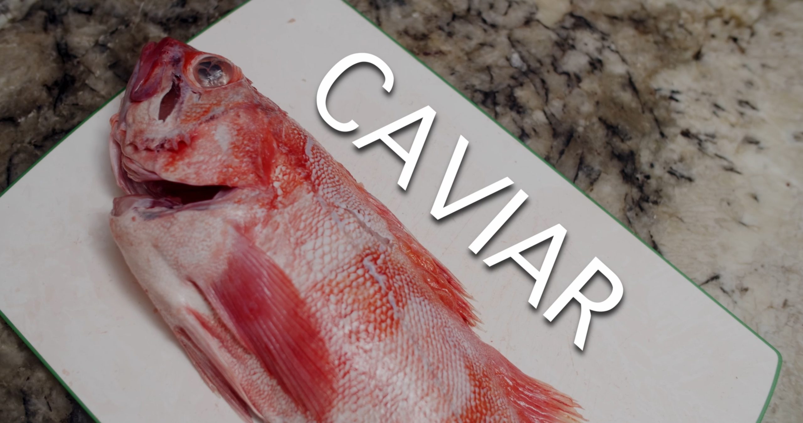 Caviar (2025) — film poster, directed by Nithin Kumar