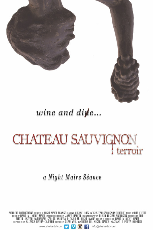 Chateau Sauvignon: terroir (2025) - film poster, directed by D.M. Night Maire