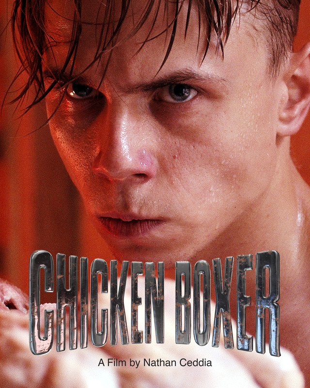 Chicken Boxer