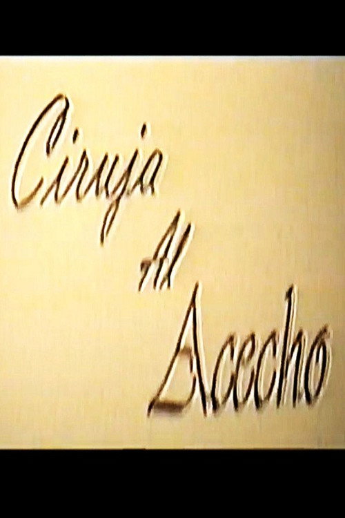 Ciruja al acecho (1998) - film poster