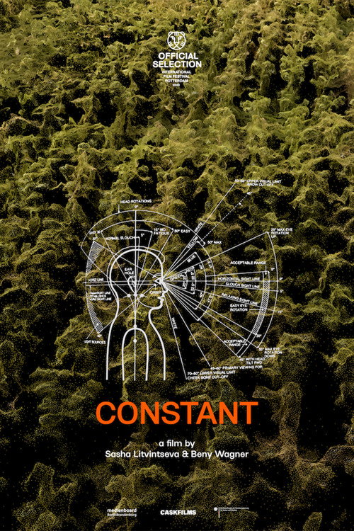 Constant (2022) — film poster, directed by Sasha Litvintseva