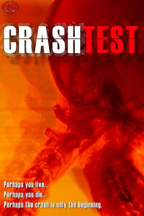 Crash Test (2003) - film poster