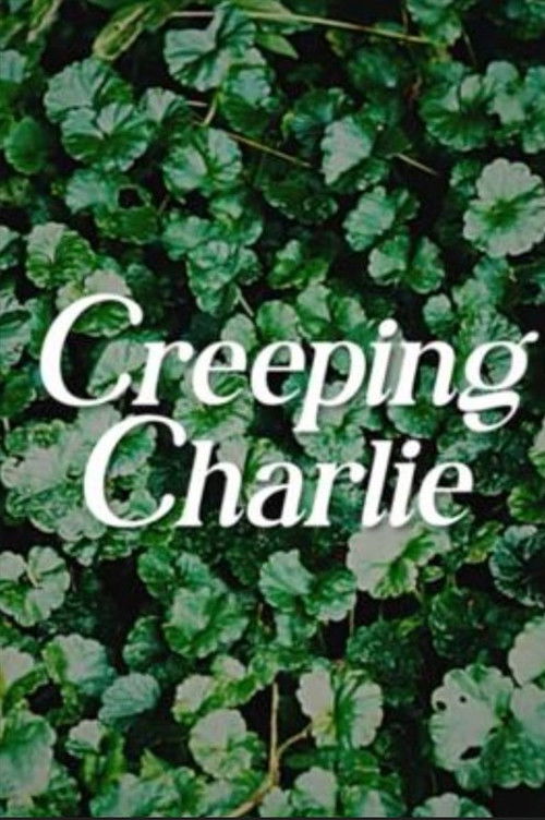 Creeping Charlie (2025) - film poster, directed by Briana Templeton