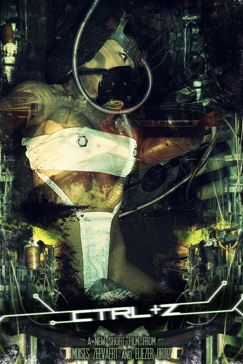 CTRL + Z (2009) - film poster