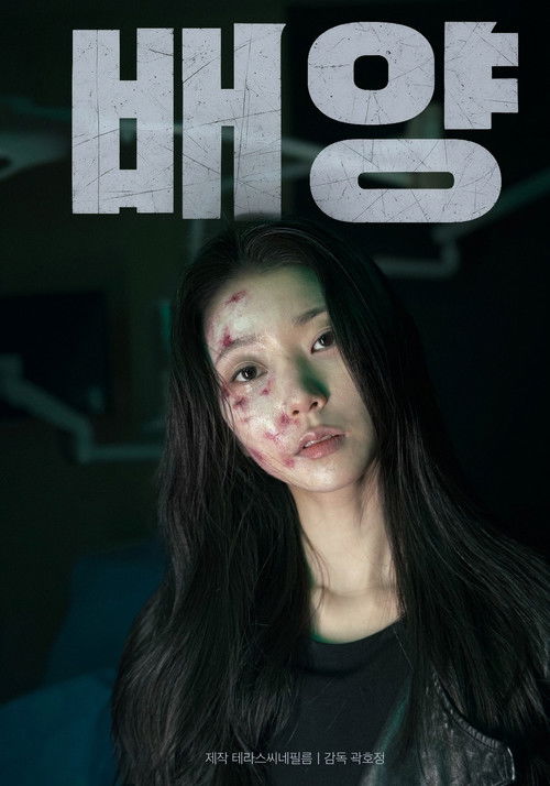 Culture (2025) - film poster