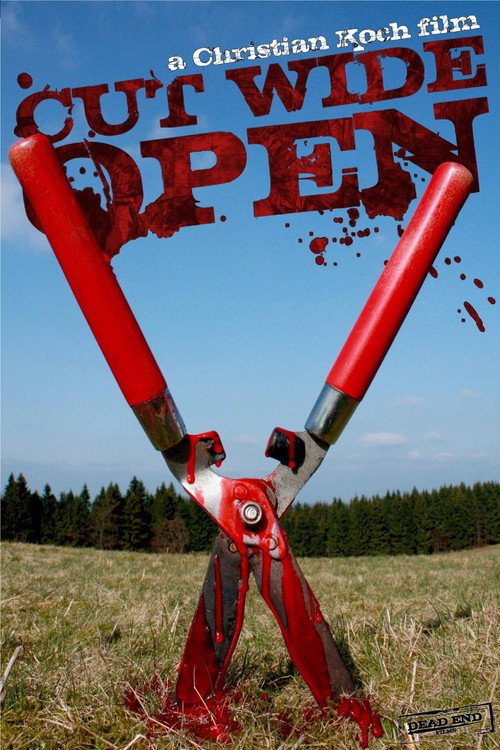 Cut Wide Open (2010) - film poster