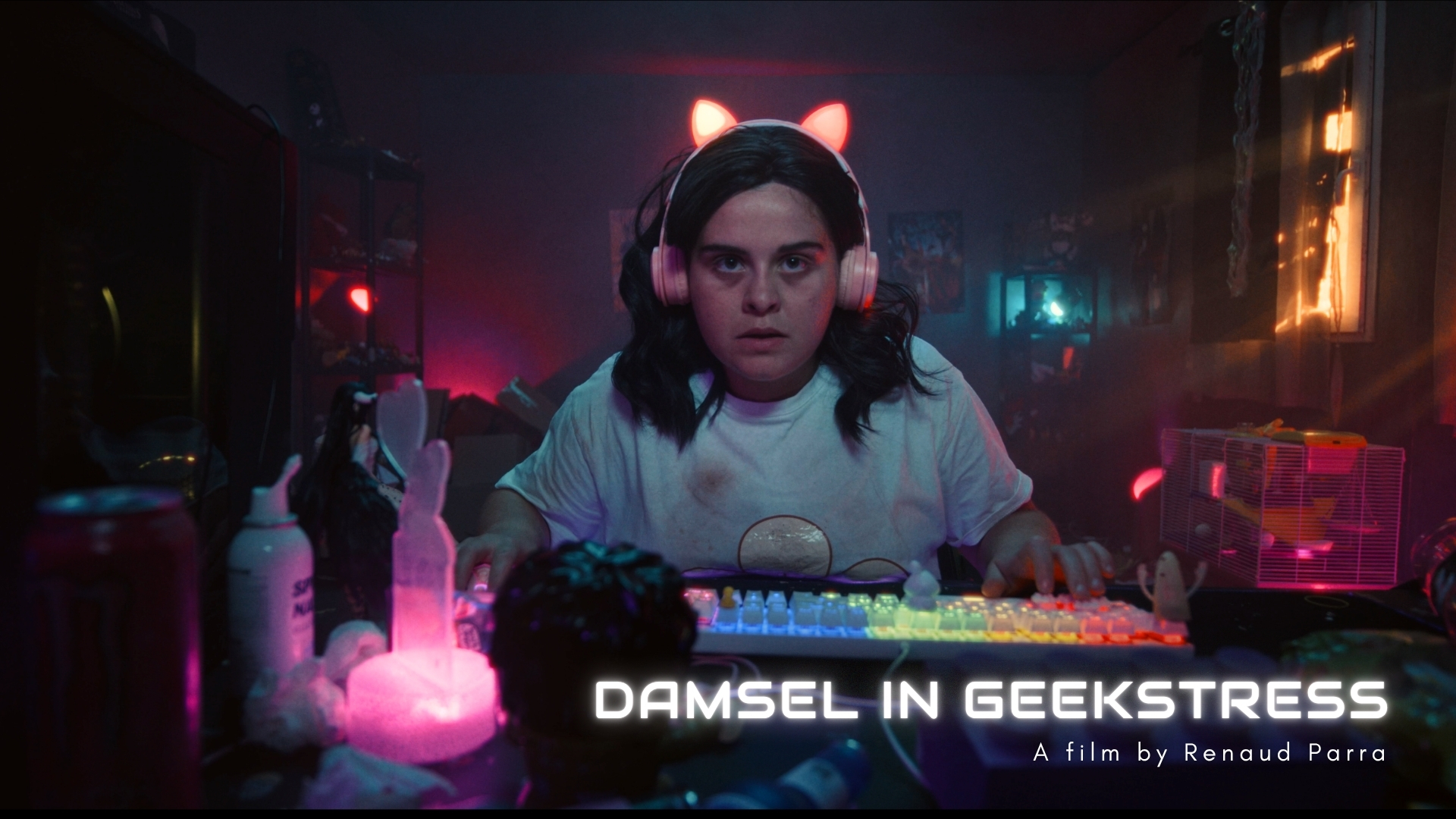 Damsel In Geekstress — film poster