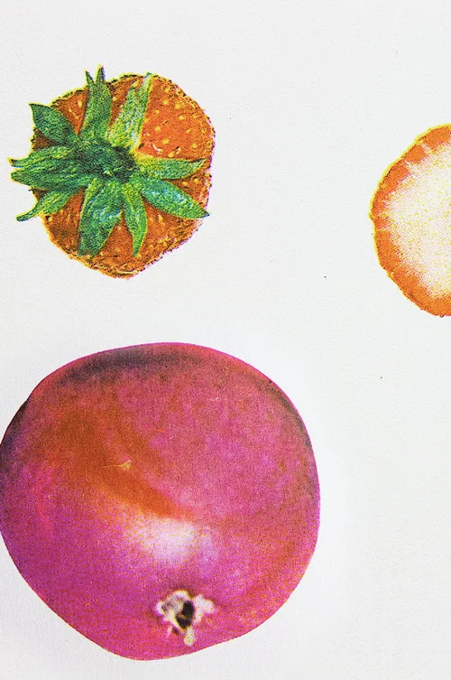 Dancing Fruit (2023) - film poster, directed by Diana Cam Van Nguyen