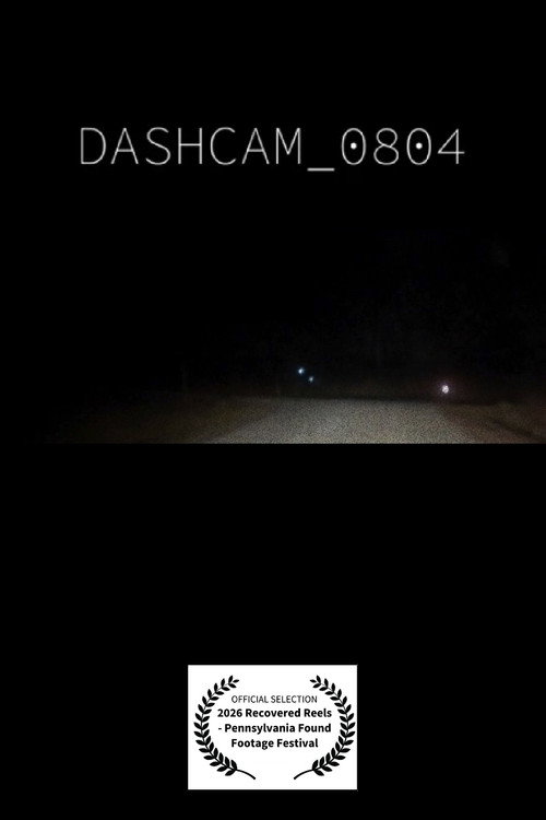 dashcam_0804.mp4 (2026) - film poster