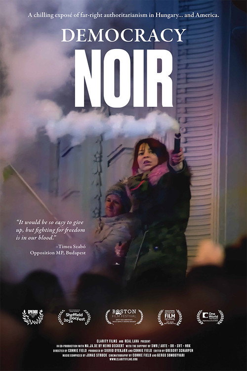 Democracy Noir (2024) - film poster, directed by Connie Field